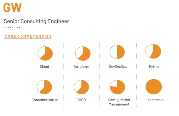 Example Engineer Profile showing 8 skills in a 4 by 2 grid with the skill listed below a pie chart representation of the approximate skill strength